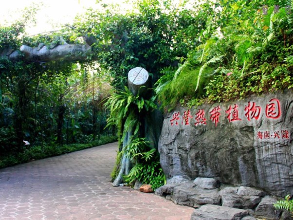 热带植物园.jpg